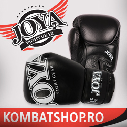 Manusi Box - kombatshop.ro