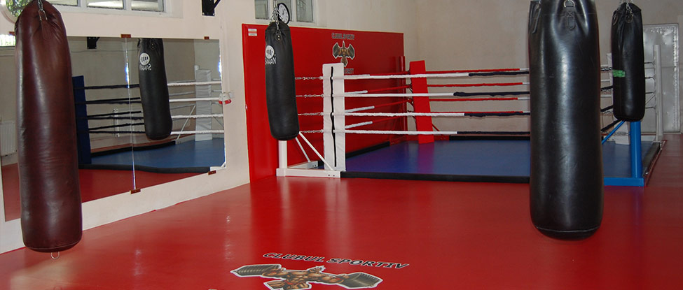 Ring de Box