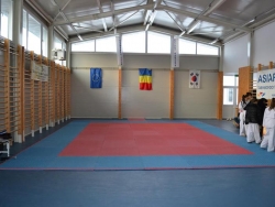 Asiart Harsova Taekwando _6