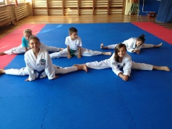 Club Sportiv Delta TKD - Cluj Napoca