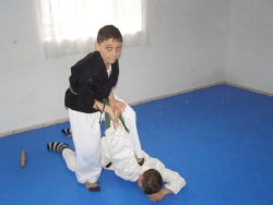 Clubul Sportiv Budokan Vaslui