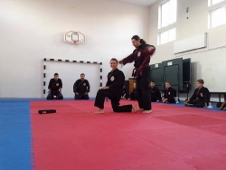 Qwankido-Kim Long Dao Falticeni