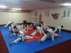 Tae Kyon Oradea TKD _10