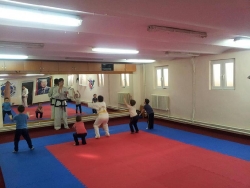 Tae Kyon Oradea TKD _4
