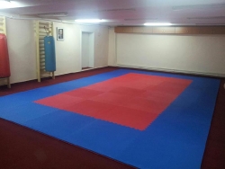 Tae Kyon Oradea TKD _8