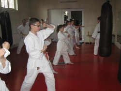 Asociatia Judeteana Karate Satu Mare_1