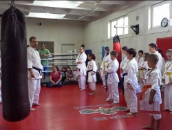 Asociatia Judeteana Karate Satu Mare