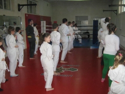 Asociatia Judeteana Karate Satu Mare